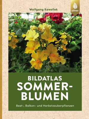 cover image of Bildatlas Sommerblumen